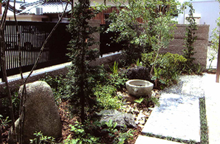 お庭・植栽・駐車場