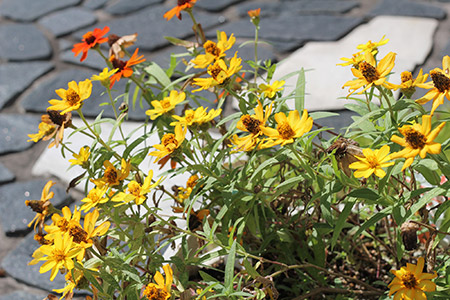 花壇・植栽施工をご検討の方へ