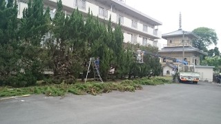 大分県立日田三隈高等学校の宿舎の剪定をしましたのイメージ画像