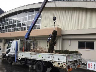 E2309F7E-B5EA-4E7C-912F-14281B0EF30A