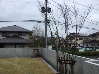 8443D358-A22F-49FC-92D6-910A1029B123