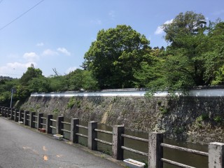 0B7C3E9D-A057-49A3-A42F-D858DAD04245