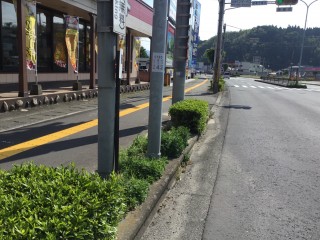 51576BD2-800D-4424-8836-B3126ADE9554