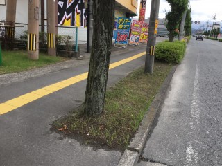 71746E84-7A34-48A7-86FE-21A093BDC3C8