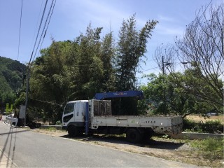 BEBEA2E3-1785-4D84-BBC1-91A335210111