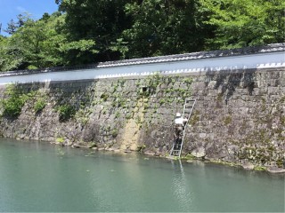 F9C36000-FAD7-4303-A52D-48B0575E57DB