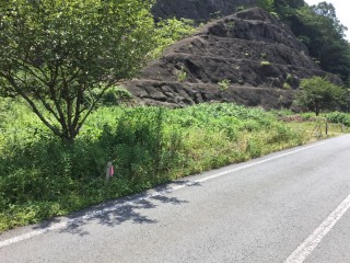 39F334DF-0E4F-4E06-8C4F-2A09A5FCB6CB