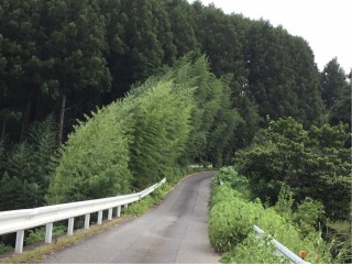 6D307722-A68F-4D5E-8B14-D66FECD54741