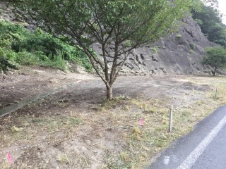 8F1A29A9-1346-456F-BE75-B9B863510916