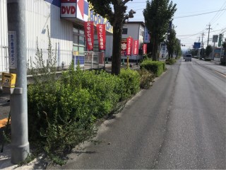 77FA2FFC-A6E4-45B3-9E9B-95D8FC5C9A49