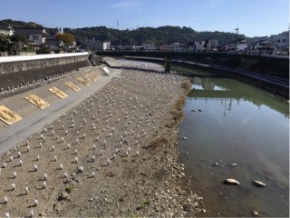 F019C37E-D53F-4C77-8F67-B9FFA6913FFD