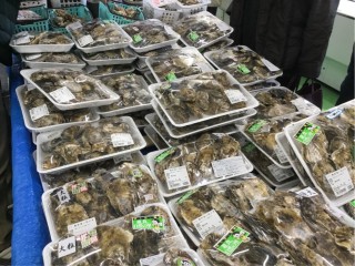 4DA5CFB1-D3E3-400F-ABB0-510D515A130C