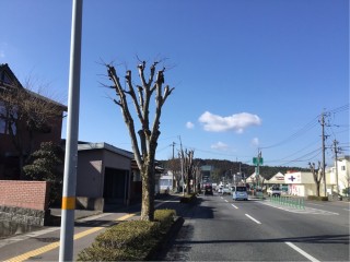 73EAF611-C1FB-409F-926E-EFFC26C053A2