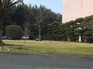 9D43ADAC-4FA7-45A2-9C65-4CB21FA56AA6