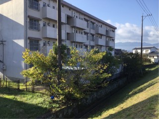 B82B2E05-A51F-477C-BA92-061DD98CBDD3