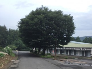 7E724CF6-490A-4A4B-8094-B6585723884A