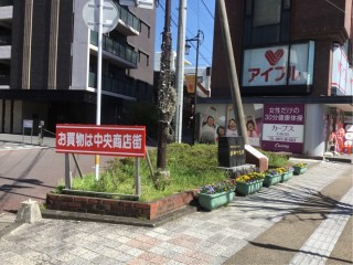 E4EEA760-E0ED-449C-B6F3-F2455A12959B