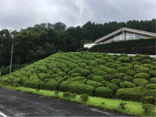 C4E66714-4F29-4603-9C2D-D2BA3B29A62D