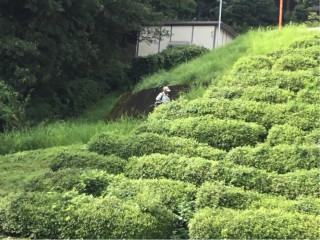 F3177561-3F95-4712-84CF-31209DFDAACA