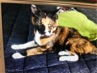 6E7030F5-90F8-44B3-8D4E-716454BC11F7