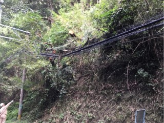 C79EB106-53D1-4E92-8F25-E0152F135C3D