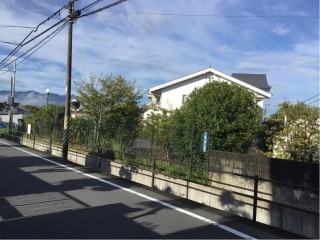 CB47D9B5-D339-4CE1-B73B-469003C7424D