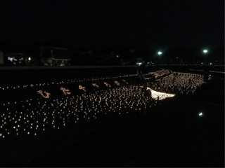 2C294291-6575-4C73-BDE4-80747A4E69AD