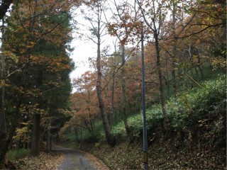 190C15A8-35E5-44C5-BDE9-B0B42FA59415