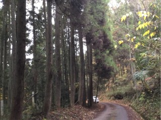 51211670-C19C-4408-847A-346A330297DA