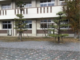 651C6F2D-DB7A-4E1B-9A77-F6D606DE2F5F