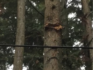 9E5D2375-1DAA-4D56-9687-4069905069DE