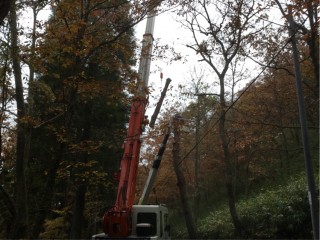 E4B92F13-13F9-48F3-9594-1C8F96DF03D5