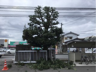 09A600F4-52EB-45A4-B213-C2205F35D448