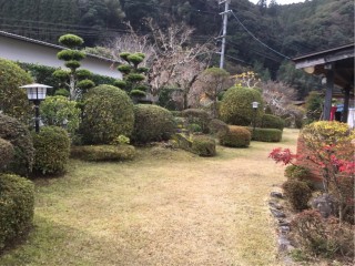 1186D0D9-94E7-4FB4-8A61-D05811B08FB8