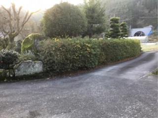 65FECAC4-8564-4806-85AD-BC7B8550D9CF