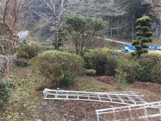 D29C3500-D800-4E6D-9DB7-D1EB623B70B8