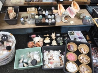 99BD0278-9DB9-49F8-89AE-26E4478743C0