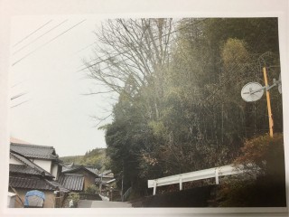 AB9BBC49-9414-4C15-B444-8E0F3BBD6720