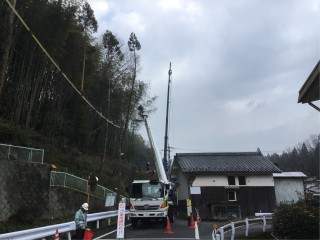 日田市朝日町の山林の高木を伐採しましたのイメージ画像