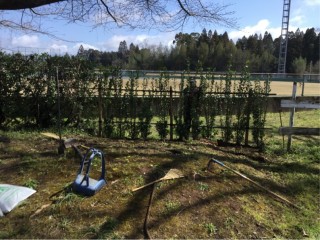 6DE8A889-8483-4085-83CB-D7E29BB0E3F9