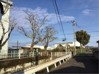 BD39761E-C214-4FCA-976A-905340E2A2C0