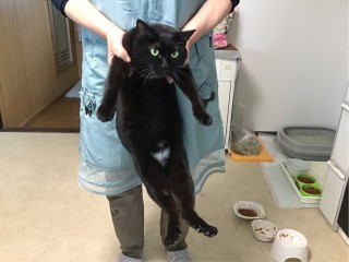 EDB310BB-20E2-41CC-8332-8EF9C380172C