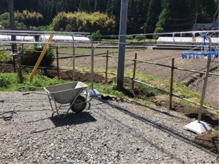 BF0BAECA-0A39-4308-9324-BEACA7FA02EA