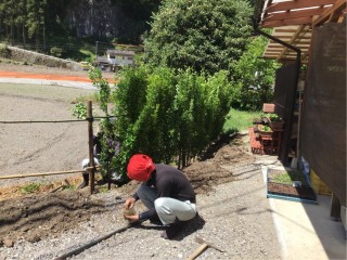 F73306BD-56FF-4CFE-B242-F260B0132996