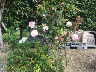 FD7F6066-F85B-43C9-B946-42C79FACD2E8