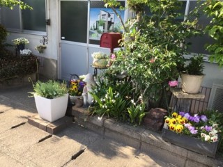 3C1504B6-4F40-4DFB-9530-6B9968B03975