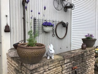 9187A19C-0926-45A4-BE0B-4D98DF76F7E4