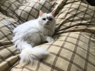 CB31DF0E-6F8E-4E41-873A-2E3BD26C97E2