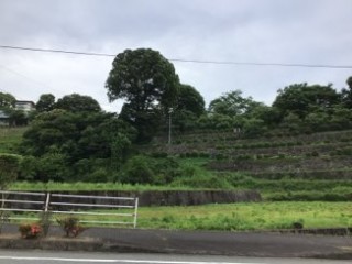 5A31C247-EC11-49AB-9F5C-D9B0DA0BACDF