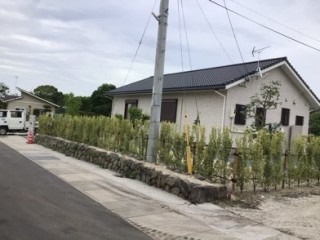 3EEBB56B-9007-4797-9EC4-2AEA6D181A81